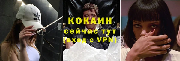 mix Богородицк