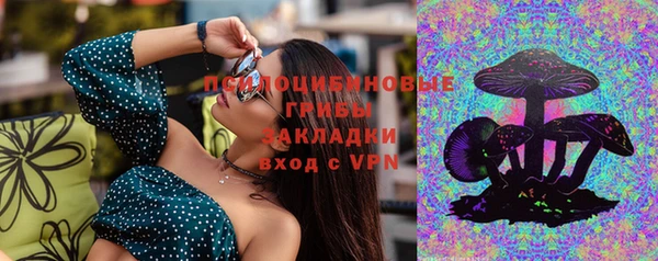 соль ск Богданович