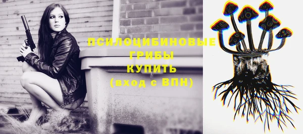 стаф Снежногорск