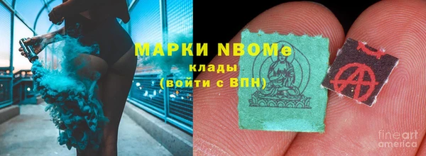стаф Снежногорск