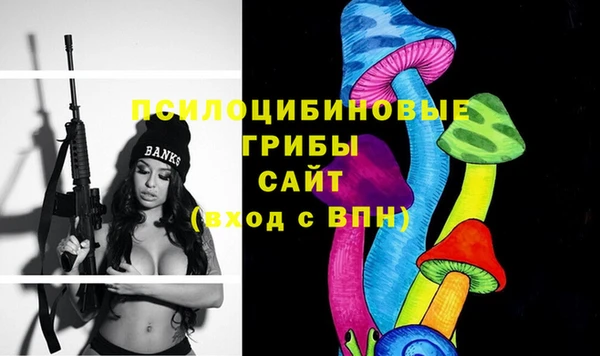 стаф Снежногорск